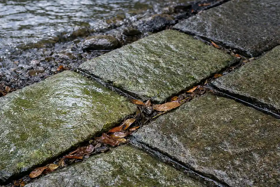 Thin algae film and trapped debris on a slippery dockside stone walkway